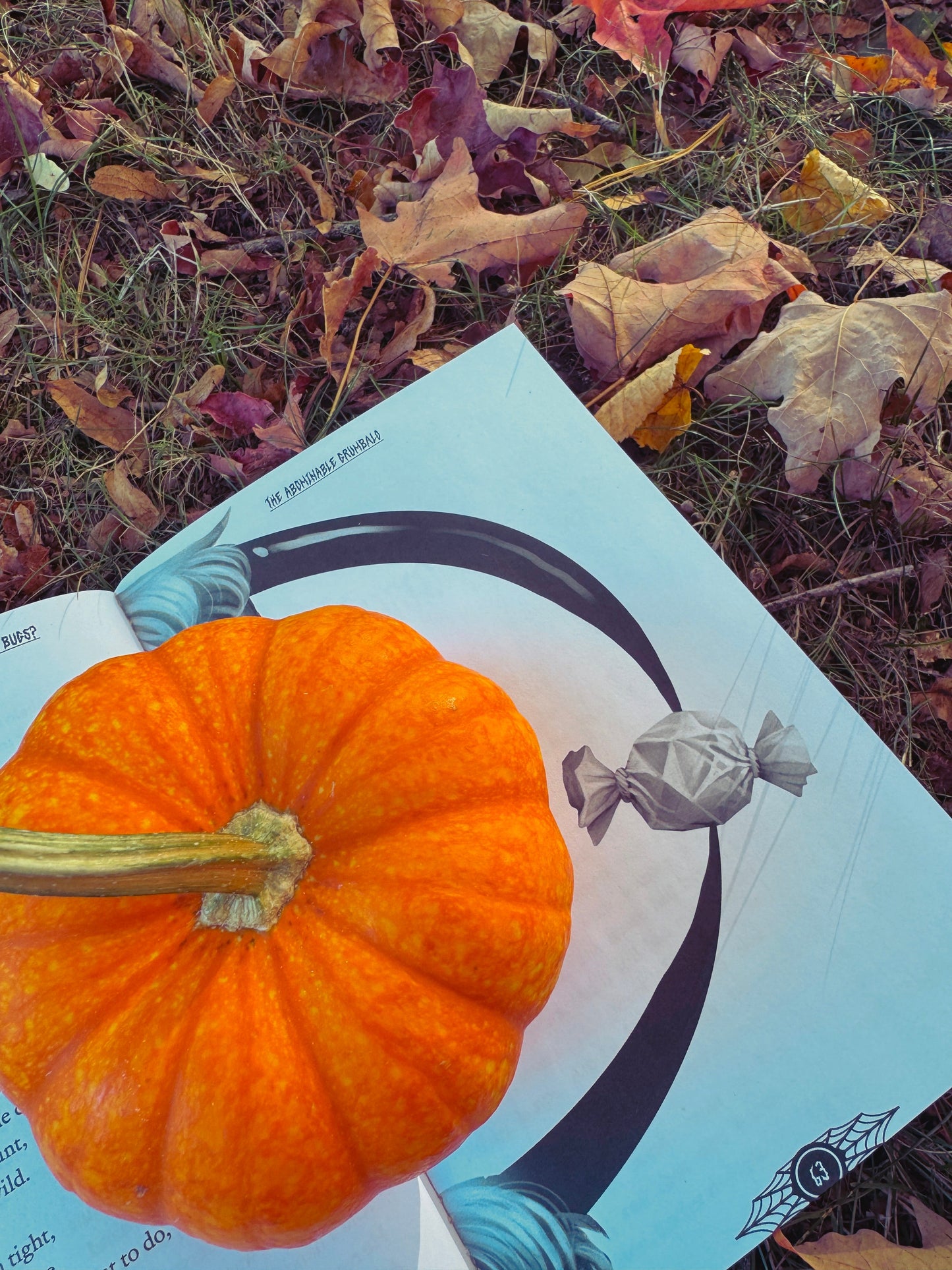 Sticks n Stones & a Bag of Bones