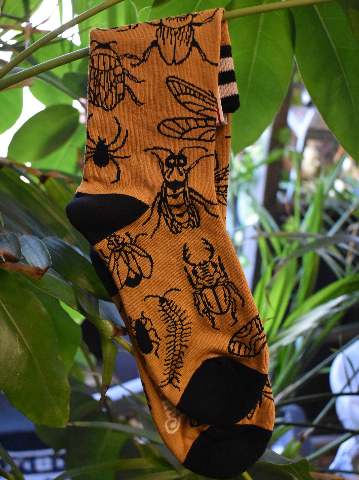 Creepy Crawlies Crew Socks