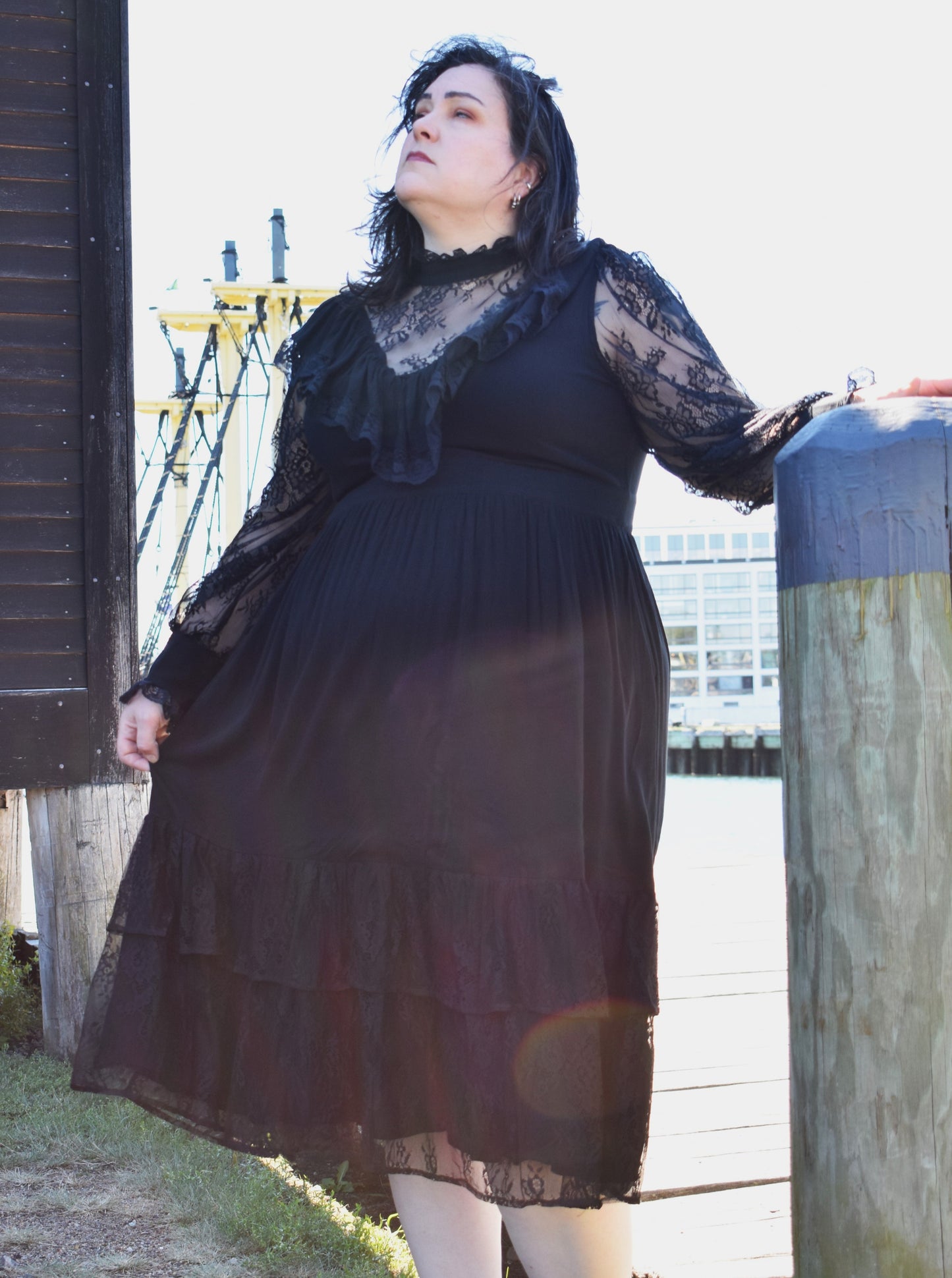 Black Dahlia Dress