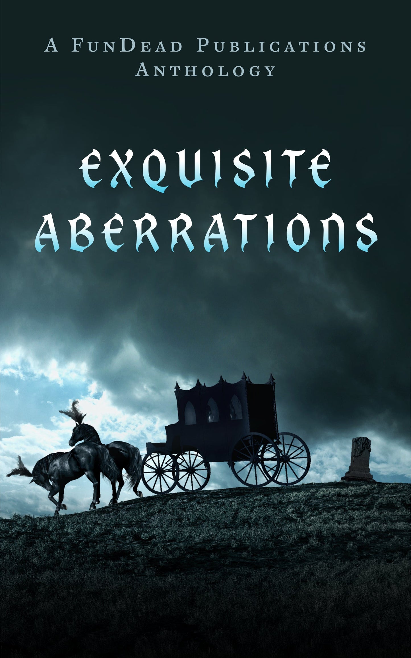 Exquisite Aberrations Paperback