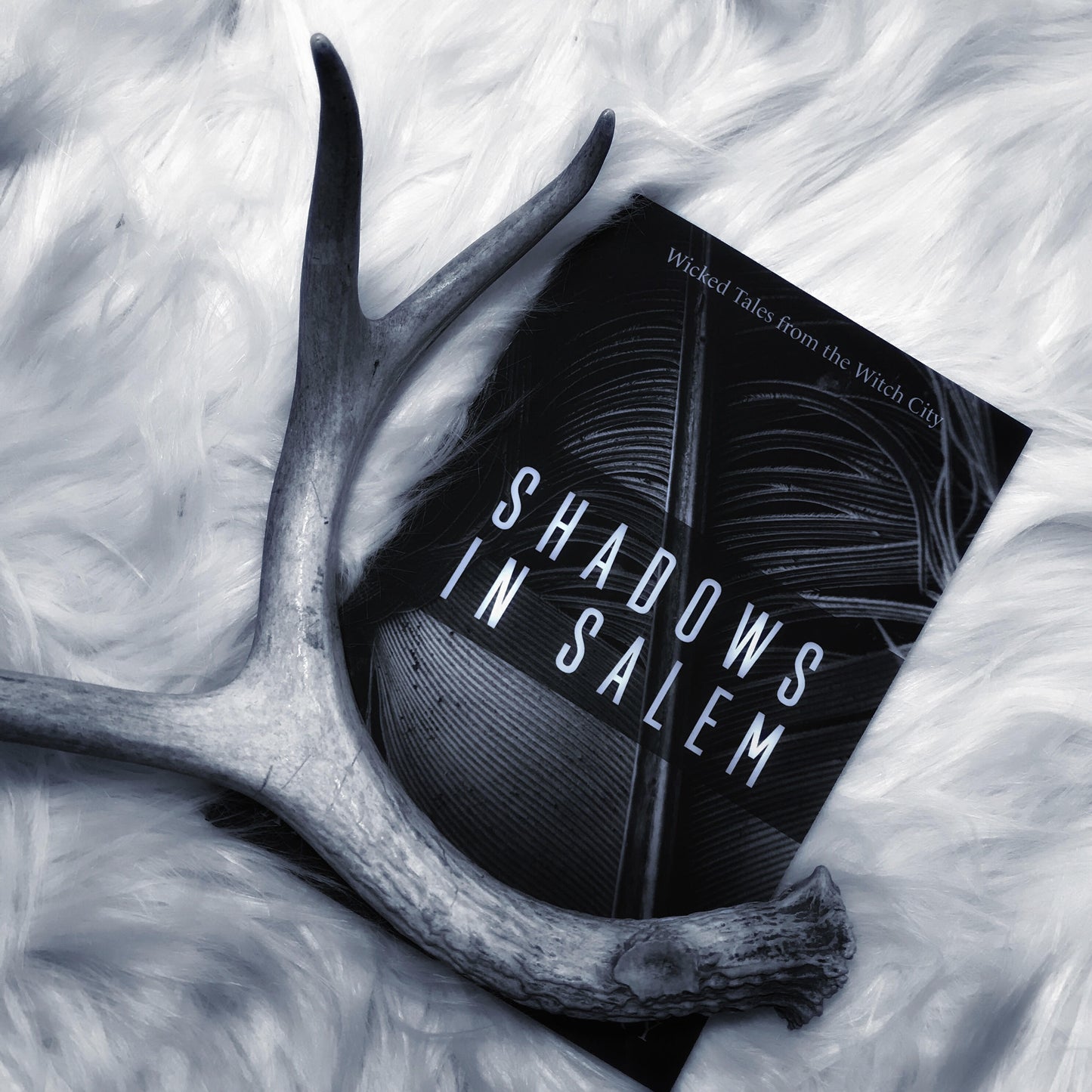 Shadows in Salem - Die With Your Boots On