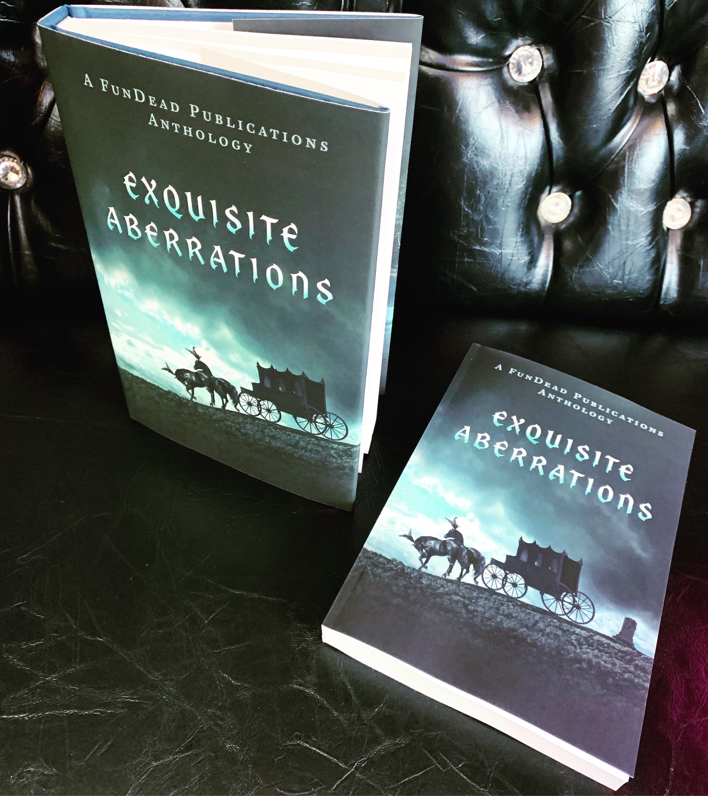 Exquisite Aberrations Paperback